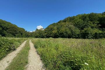 Ведение садоводства, 4,5 сот.