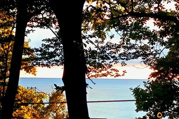 Дом, 50 м², 1 эт.