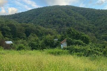 Ведение садоводства, 5,2 сот.